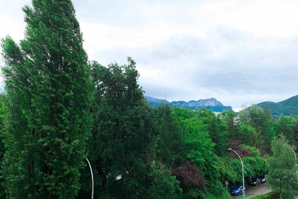 Charmant appartement avec vue sur les montagnes Annecy Extérieur photo